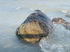 -上海吴淞炮台湾国家湿地公园