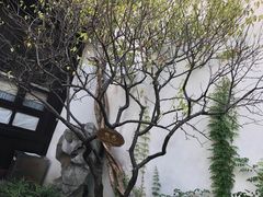 -南京市民俗博物馆(甘熙故居)