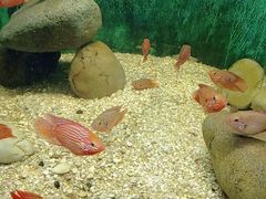 -常州海昌海洋探索馆