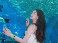 -波塞冬旅游度假区