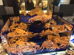 -蟹道乐(道顿堀本店)