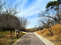 -南山风景名胜区