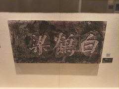 -白鹤梁水下博物馆