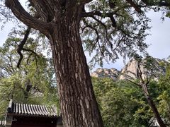 -北京凤凰岭