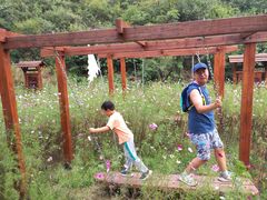 -蟠龙山长城景区