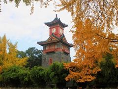 -四川大学(华西校区)