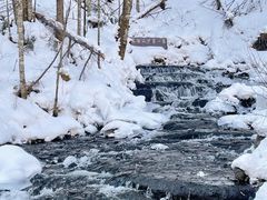 -峡谷浮石林景区