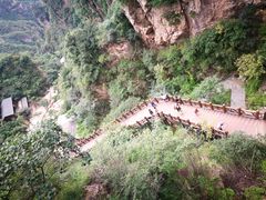 -狼牙山风景区