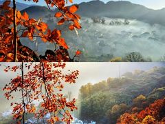-婺源风景区