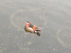 -后海公园
