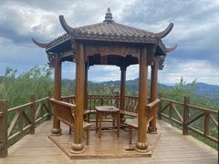 -大岭沟猕猴桃谷风景区