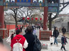 -北京国子监胡同