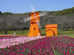 -苏州上方山国家森林公园