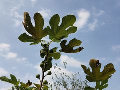 -中国移动南方基地