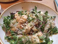 -State Bird Provisions