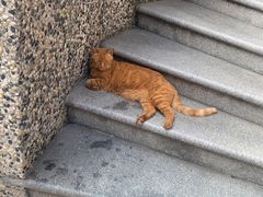 -思南书局(复兴中路店)