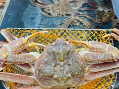 -阿拉斯加·海货(马王堆店)