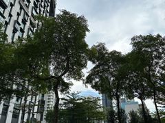 -达士岭