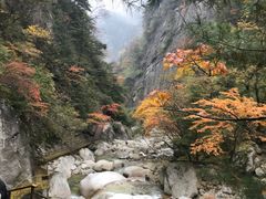 -青峰峡国家森林公园