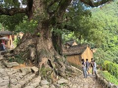 -杨家堂村