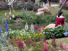 -人民公园(罗湖区)