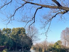 -西溪国家湿地公园