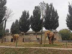 -石家庄市动物园