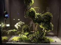 -唐宫足道·SPA·影院会馆(木渎店)