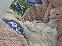 -达爱动物医院·犬猫分区·CT·复杂眼科(远洋山水分院)