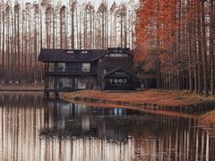 -黄海国家森林公园