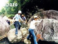 -广州市流溪河国家森林公园