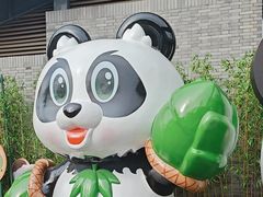 -都江堰中华大熊猫苑