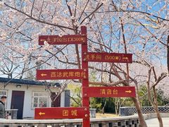 -桃花堤公园