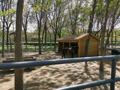 -长白岛森林公园