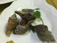 -鑫悦楼煎蟹·16年海鲜大排档