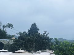 -桃源山庄·水蜜桃采摘·柴火鸡·烧烤团建(龙泉山店)