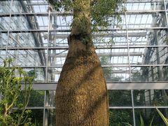 -南山植物园