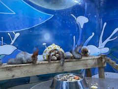 -海合安青岛极地海洋公园