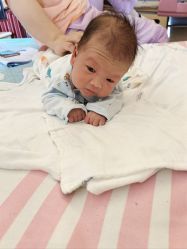 -莲芯花月子会所