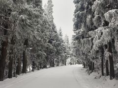 -齐岳山