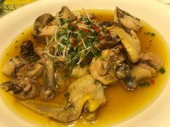 绍兴醉鸡-阿英煲(凉城路店)