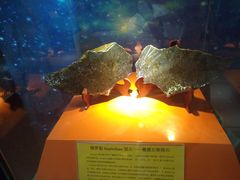 -紫金山天文台