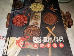 -雲蜀龙阁·金牌水煮鱼(方庄店)