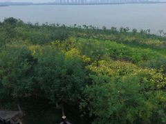 -天津东丽湖风景区