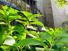 -边渡咖啡烘焙店(昙华林店)