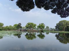 -无锡蠡湖国家湿地公园-蠡园