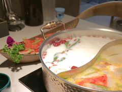 -椰子湾·海南火锅·糟粕醋·椰子鸡(正大广场店)