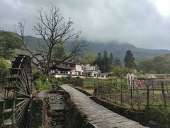 -塔川景区