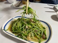 -T&K 海鲜