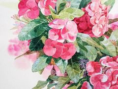 -八哥美术·成人美术画室(总校区)